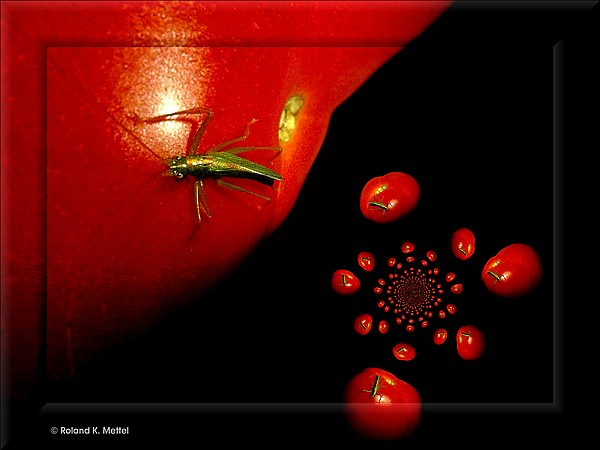 © Copyright Roland K. Mettel