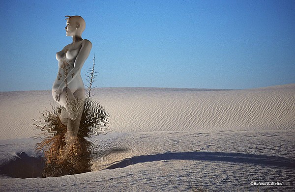 © Copyright Roland K. Mettel