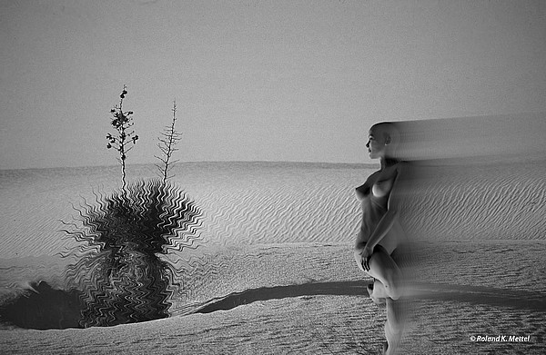 © Copyright Roland K. Mettel