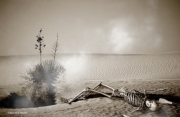 © Copyright Roland K. Mettel