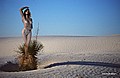 White Sands 4